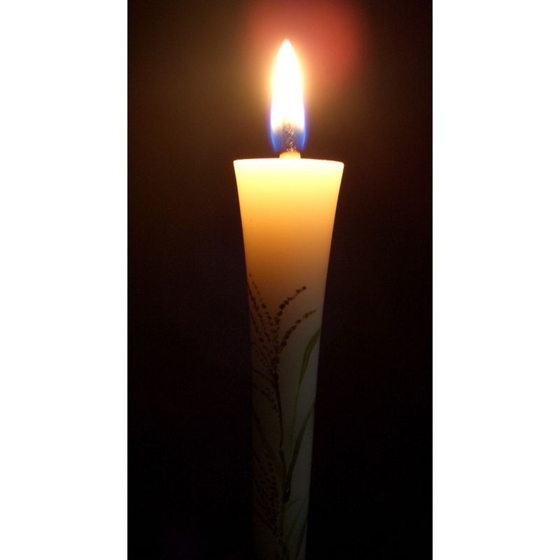 Hand-Painted Japanese Candles - Susuki (Size 3 Set of 2)