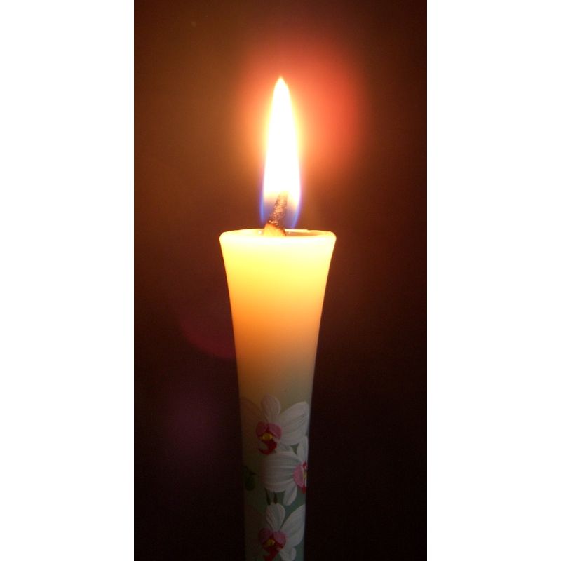 Hand-Painted Japanese Candles - Phalaenopsis (Size 3 Set of 2)