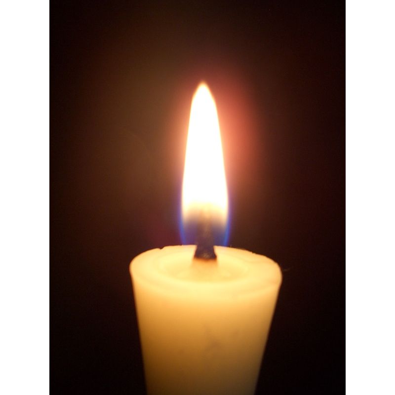 Hand-Painted Japanese Candles - Nanohana (Size 3 Set of 2)