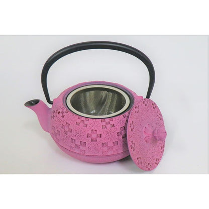 Nanbu Tekki Teapot - 0.3L Brush Mark Hanaori-Sakura Pattern