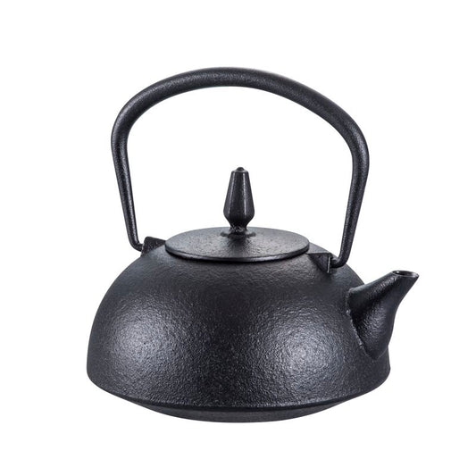 Kyusu - Nambu Ironware Hana (Haru)