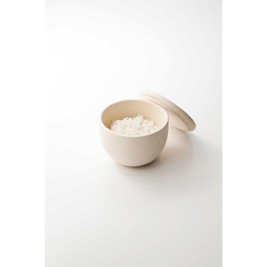 Rice Container