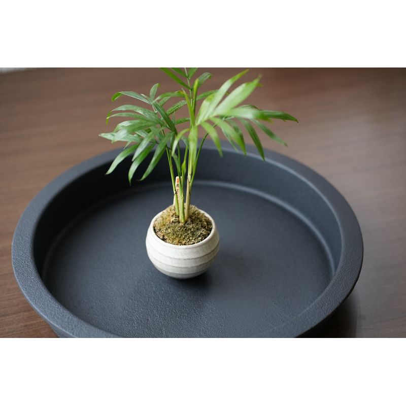 Pan - Cast Iron Double Handle 26cm