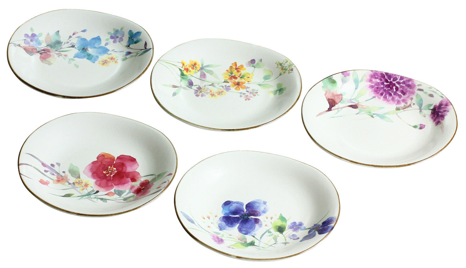 Ceramic-ai Mino Ware Flower watercolor 5customer Meimeizara assortment Porcelain