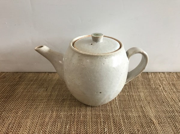 Waon Shigaraki POT Teekannen Keramik Japan