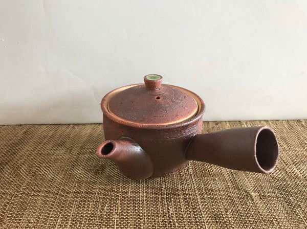 Waon Shigaraki Teapot Iron Pottery Japan