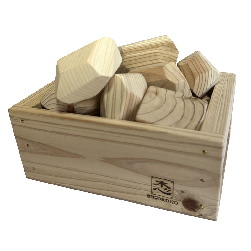 Tsuminikka DX with Wooden Box Educational Toys 20 pieces JAPAN KIGOKORO BRAND