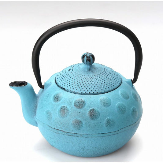 Fujita Nambu Tekki Kyusu Tea Pot Polka Dots Blue 0.4L Enameling