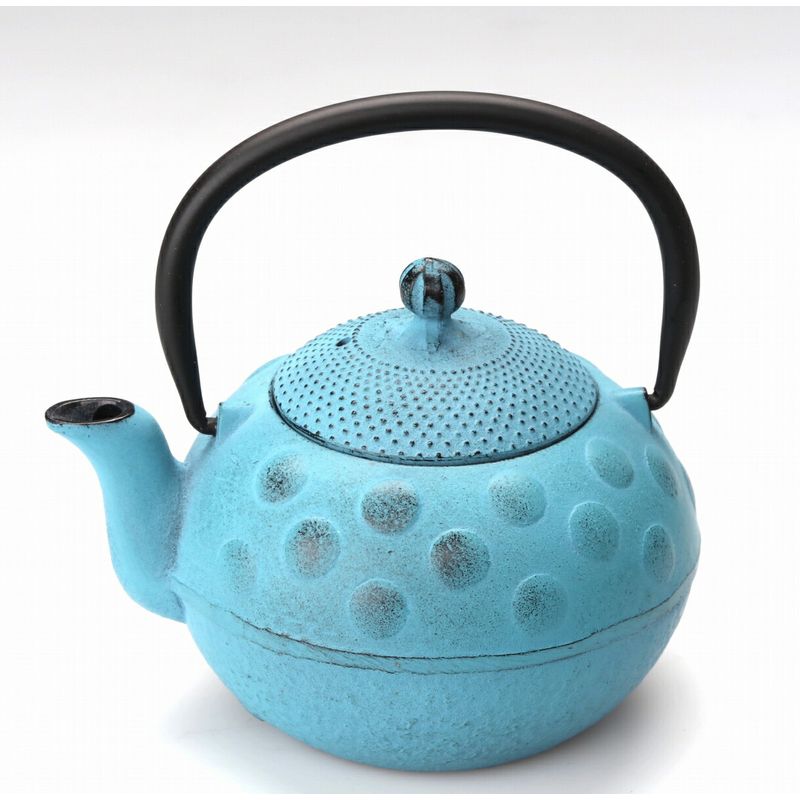 Fujita Nambu Tekki Kyusu Tea Pot Polka Dots Blue 0.4L Enameling
