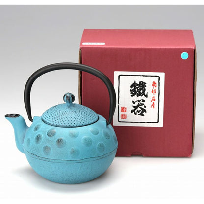 Fujita Nambu Tekki Kyusu Tea Pot Polka Dots Blue 0.4L Enameling