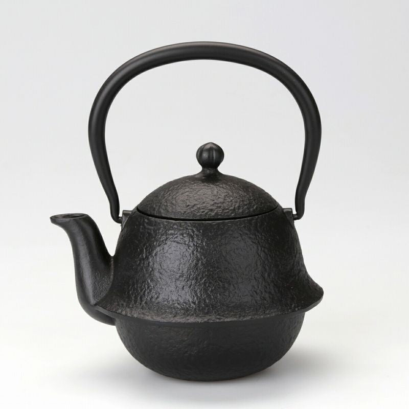 Fujita Nambu Tekki Iron Kettle Kyusu Tea Pot Marugamahada Black 0.4L