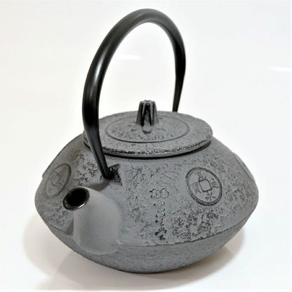 Fujita Nambu Tekki Iron Kettle Old Coin 0.8L Direct Fire