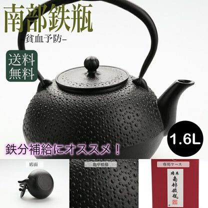 Fujita Nambu Tekki Tortoise Shell Iron Kettle 1.6L Direct Fire Kyusu