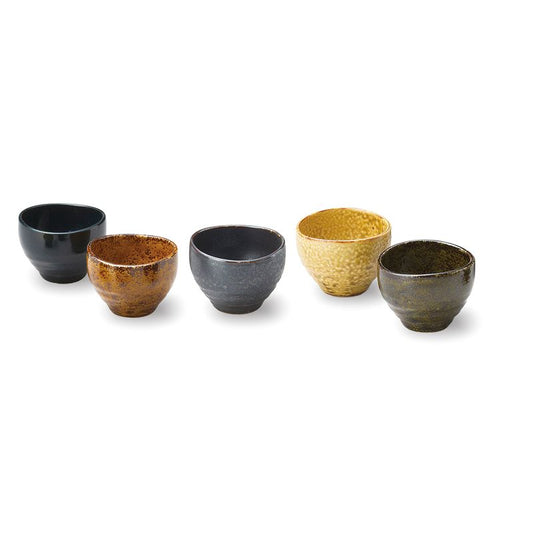 Five-Glazed Bowl Set Porcelain Mino Ware 5pcs JAPAN JiNPo BRAND