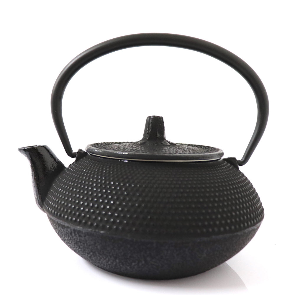 Fujita Kyusu Teapot Traditional Nanbu Nambu Tekki Ironware Kettle Maruarare 0.5L