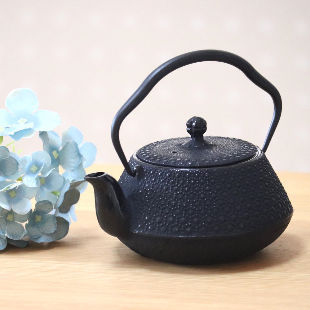 Fujita Kyusu Teapot Traditional Nanbu Nambu Tekki Ironware Kettle Kikkou 0.5L