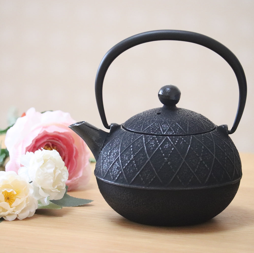 Fujita Kyusu Teapot Traditional Nanbu Nambu Tekki Ironware Kettle Agairu 0.6L