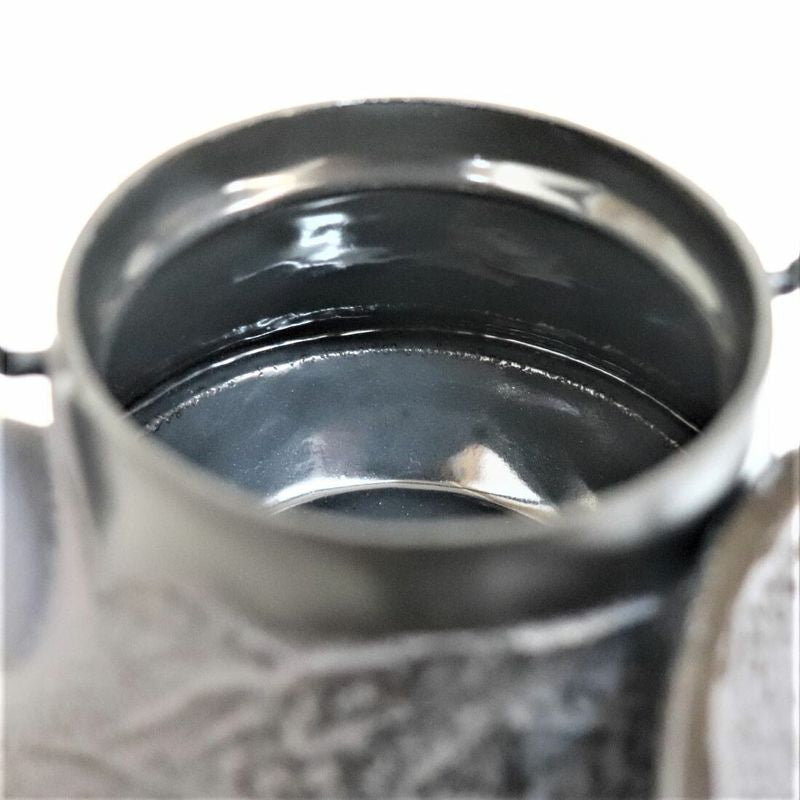 Fujita Nambu Kyusu Iron Kettle Tea Pot Mount Fuji Water 0.3L Direct Fire