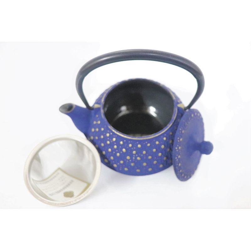 Fujita Nambu Kyusu Iron Kettle Kyusu Tea Pot Tortoise Shell Indigo 0.3L