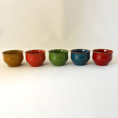 IRO-IRO Sake Cup