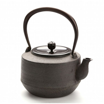 Fujita Sato Seiko Suji Katatsuki Iron Kettle 1.2L 