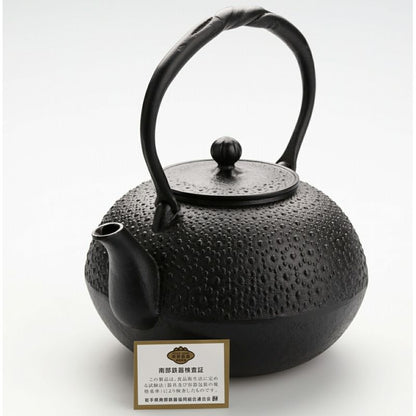 Fujita Nambu Tekki Tortoise Shell Iron Kettle 1.6L Direct Fire Kyusu