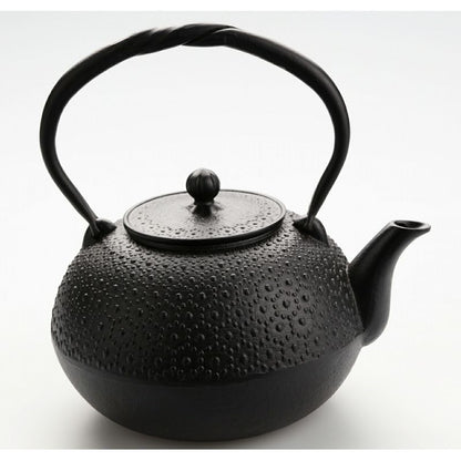 Fujita Nambu Tekki Tortoise Shell Iron Kettle 1.6L Direct Fire Kyusu