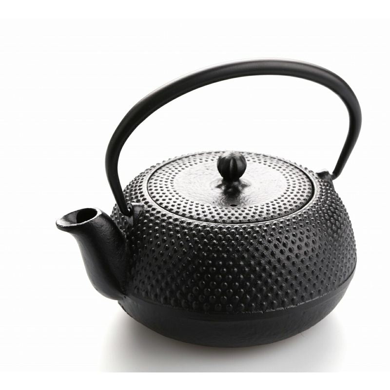 Fujita Nambu Tekki Iron Kettle Kyusu Tea Pot Maruarare 0.4L Direct Fire