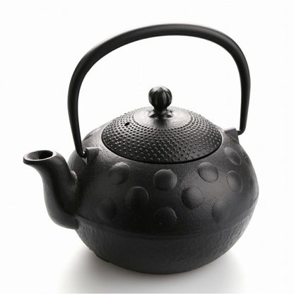 Fujita Nambu Tekki Iron Kettle Kyusu Tea Pot Polka Dots 0.4L Direct Fire