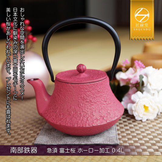 Fujita Kyusu TeaPot Kettle Nanbu Nambu Tekki Ironware Fujisakura 0.4L Japan