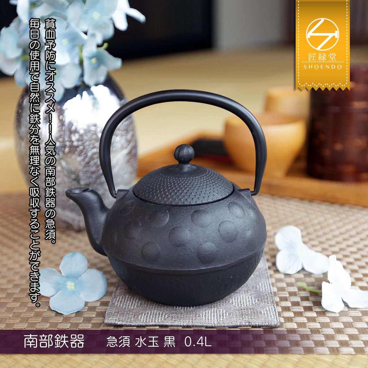 Fujita Kyusu TeaPot Kettle Nanbu Nambu Tekki Ironware Polka Dot 0.4L Japan